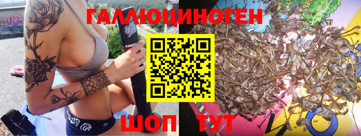 Учалы  как найти   Вход с VPN  Псилоцибиновые грибы Psilocybine cubensis 